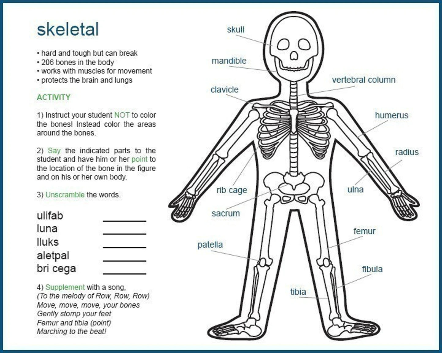 My anatomy for Kids - Digital